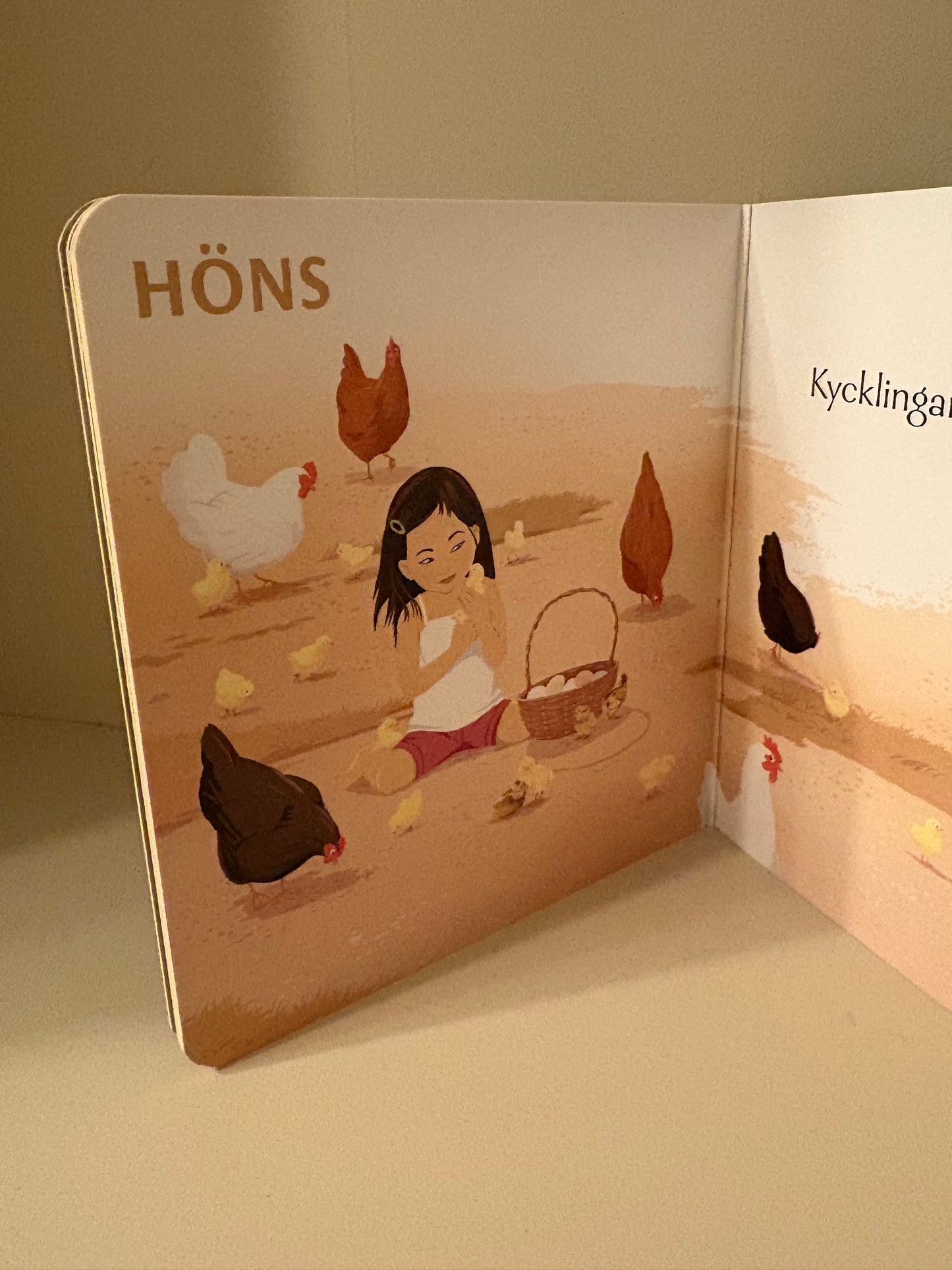 Bok - Djurungar på gården