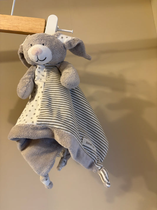 Snutte kanin - Newbie