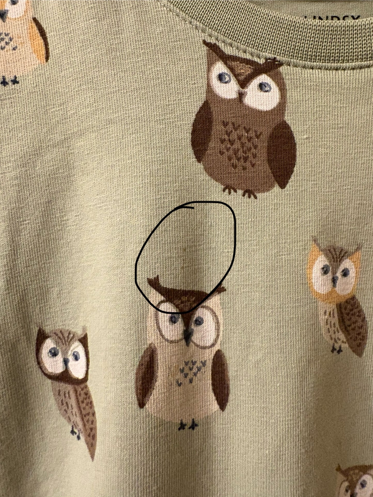 Tröja grön ugglor 🦉 stl 74 - Lindex